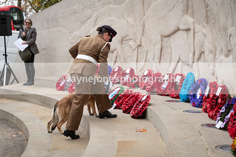 Z62_4663 - Animals In War Memorial 2025 - Park Lane, London