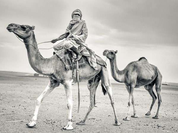 Mauritania,Nomad, Camel, Hasselblad