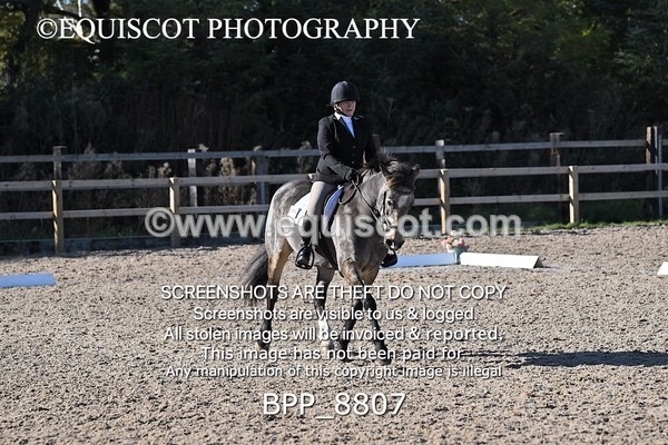BPP_8807 - LONG ARENA