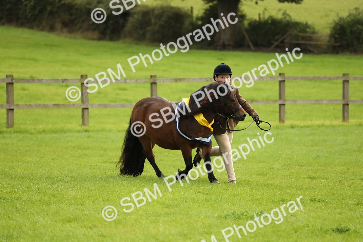 SBM_75417 - Equitation Supreme Championship