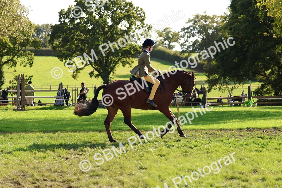 SBM_52410 - S13 - Pony Club Pony