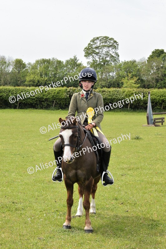 20260426-2455 - Class 21 - Working Hunter Ponies