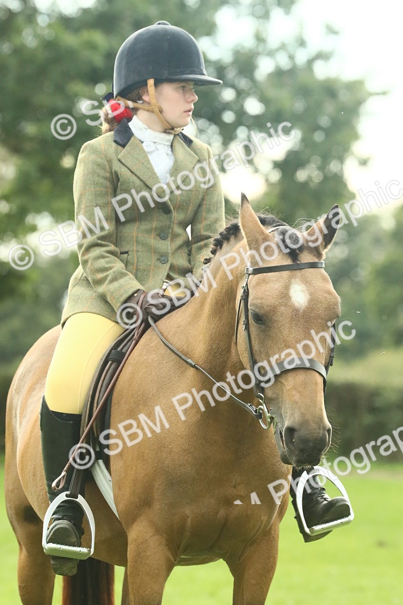 SBM_74114 - S 61 - Show Pony & Show Hunter Pony Ridden