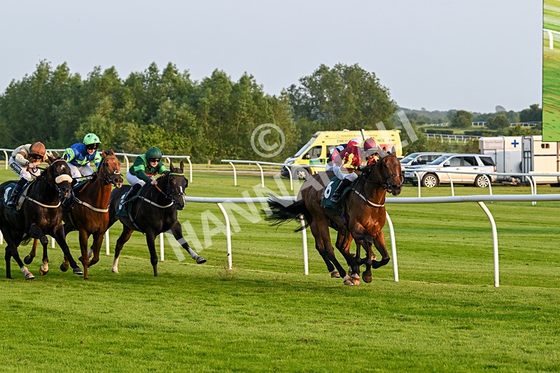 310524-Race 4-Albegone-8767 - Race 4