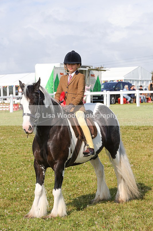 1X9A3414 - Class 28: Ridden Native/Trad Coloured Pony