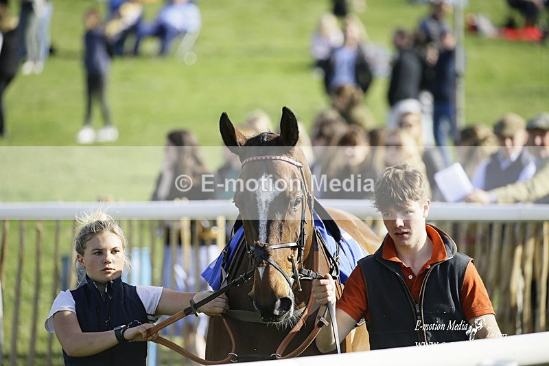 PtP 180422 318 - Old Berkshire PtP Lockinge 18/04/22