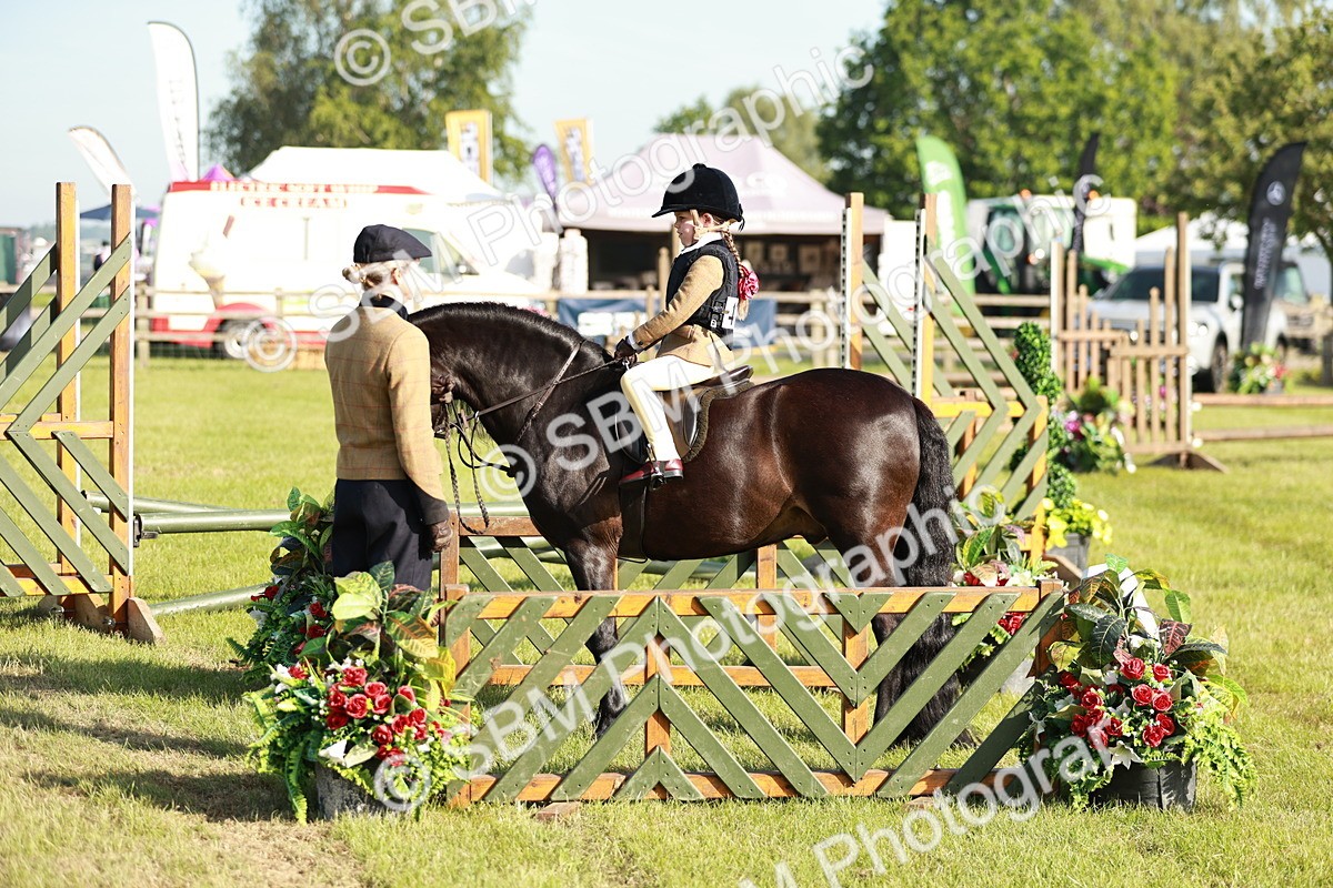 SBM_11155 - Class 106-107 - BSPS LIHS Working Sports Pony