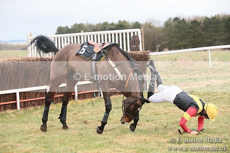 PtP 230119 60 - Royal Artillery Point-to-Point  - Larkhill  - 26/01/19