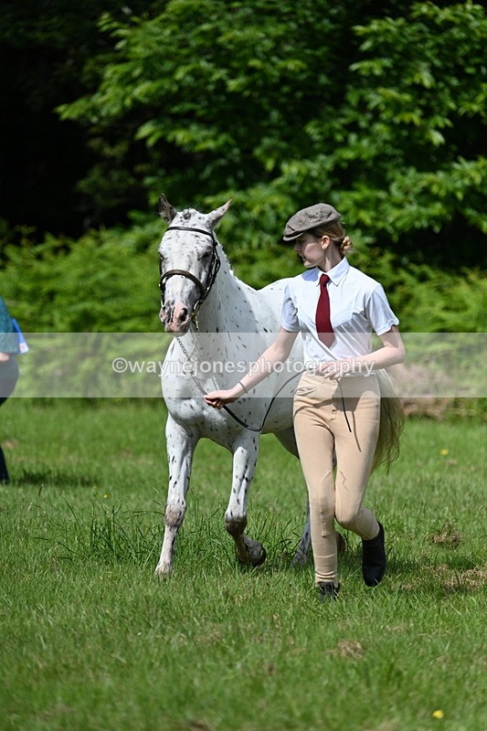 WJ7_1302 - Class 11 Condition & Turnout