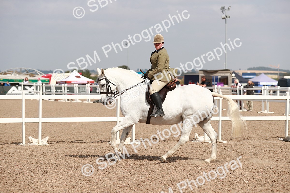 SBM_14863 - Class 212 Ridden Hunter - Small