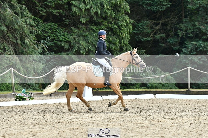 260801A-123646-04011 - Prelim Bronze Break - End