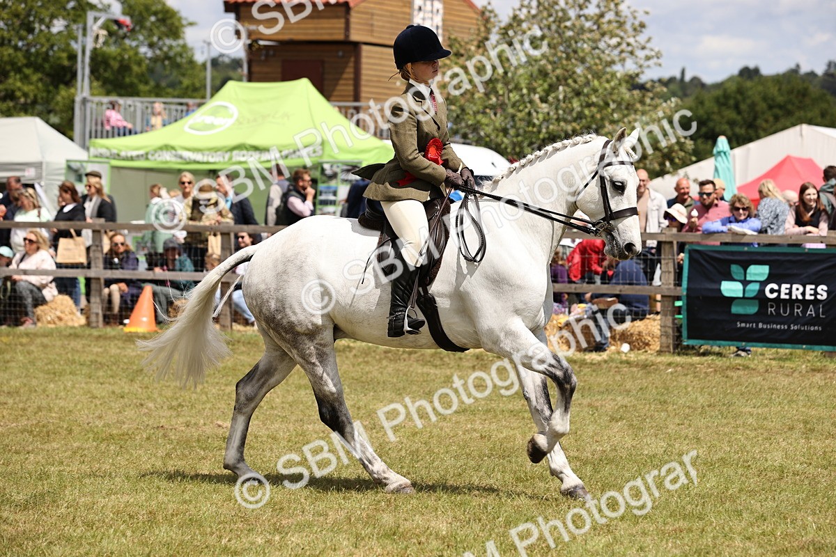 SBM_14792 - Class 88-89 - LIHS BSHA Rising Star of Ridden Hunter Type