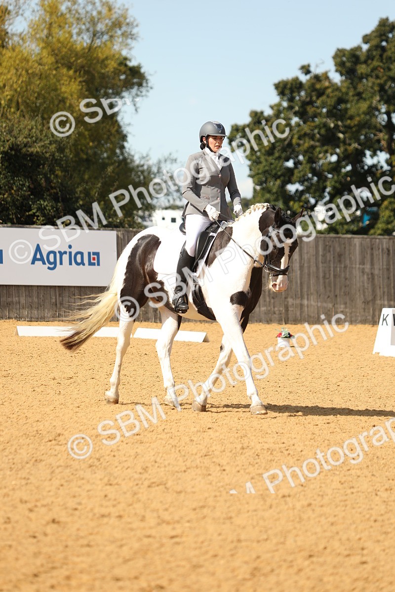 SBM_22255 - D17 - Grand Tour Championship - Novice 27