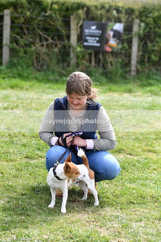 WJ5_0649 - Class 7 Best Terrier