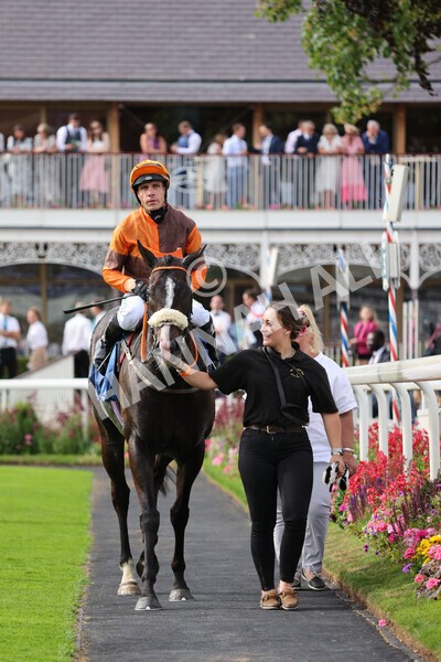 yr08072022r6-23 - Race 6 5.00pm Irish Thoroughbred Marketing Stakes