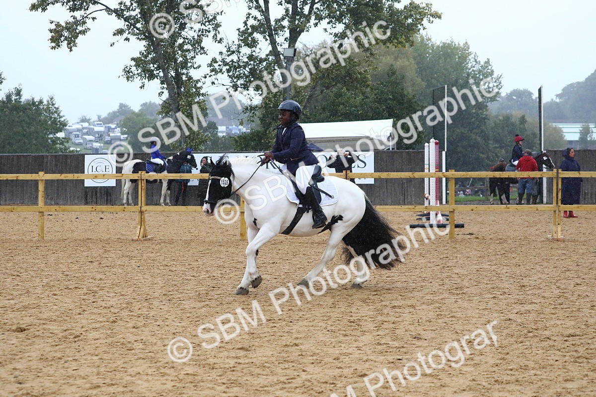 SBM_71452 - J4 - Mini Tour Junior Pony 45cm Championship