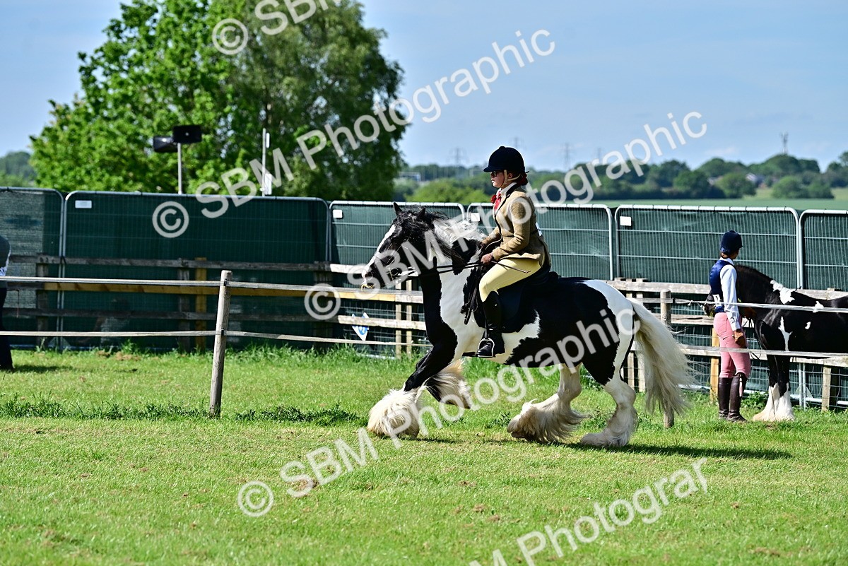 SBM_09327 - Class 63-65 - Traditional Gypsy Cobs In Hand & Ridden