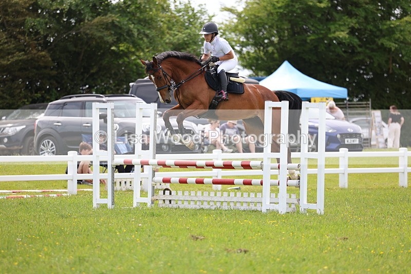 3E7A1503 - Class 13: Senior British Novice/90cm open