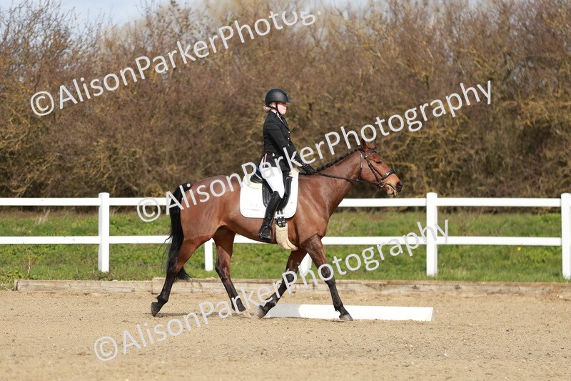 20260314-2788 - DR3 - Prelim 1