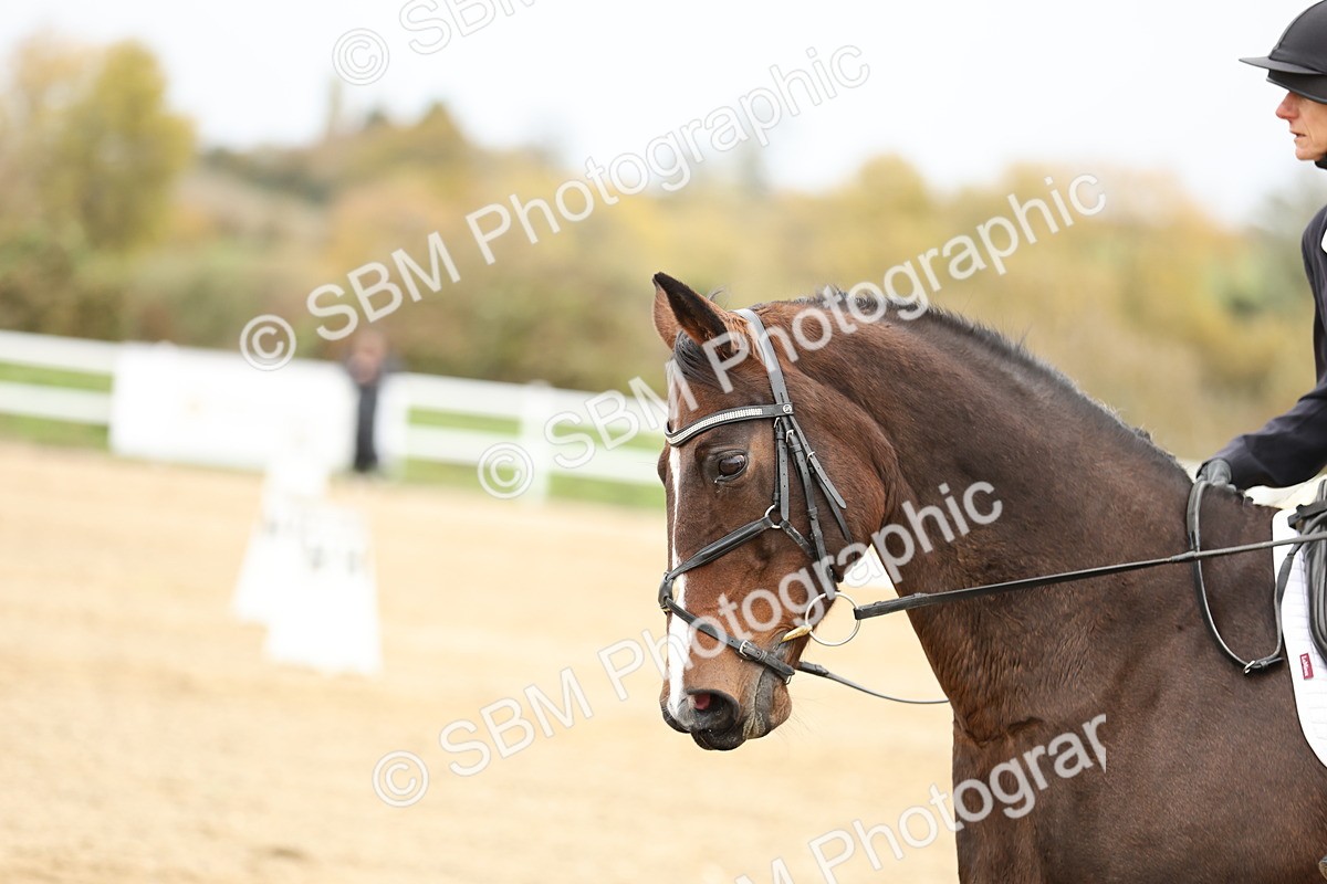 SBM_002993 - Class 8 - Novice 1