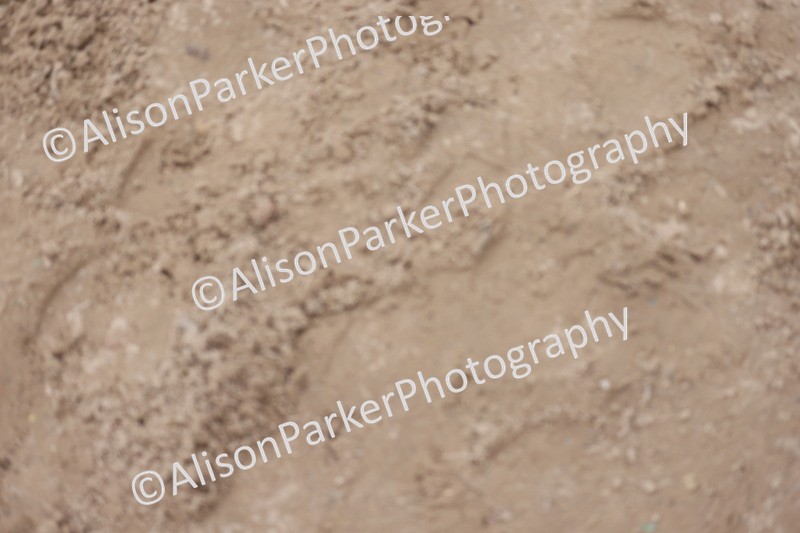 20260218-1371 - Class 5 - 1m