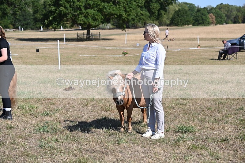 WJ6_7307 - Class 33 Rescue Pony