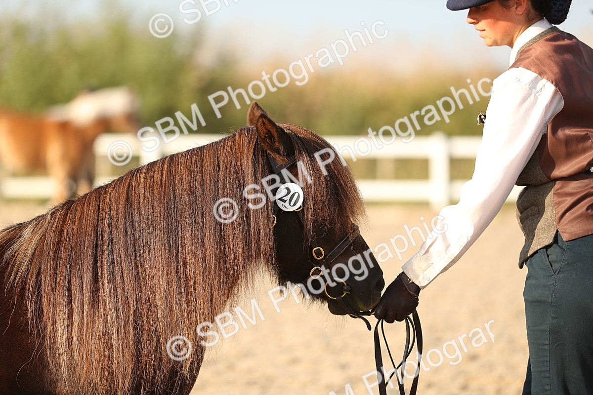 SBM_09053 - Class 29 IH Veteran Pony
