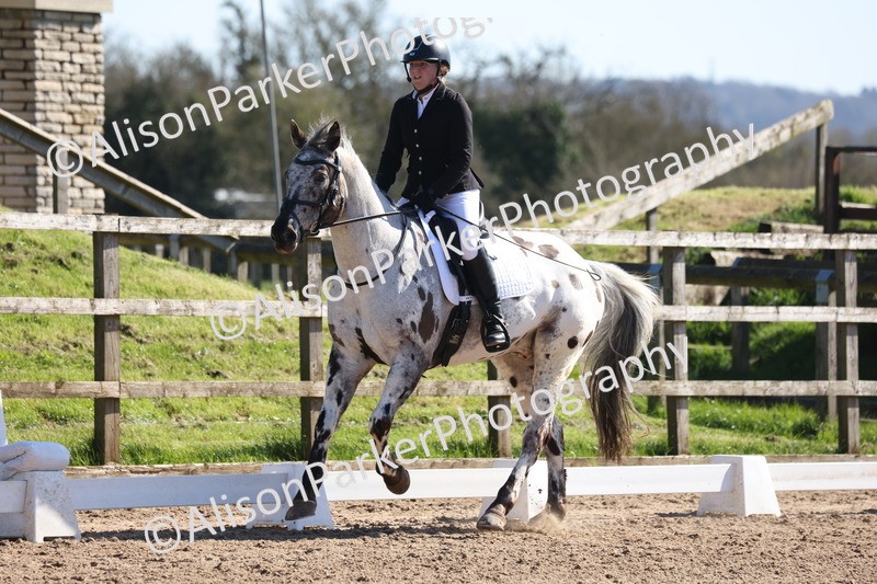 20260318-0478 - Class 5 - Novice 2