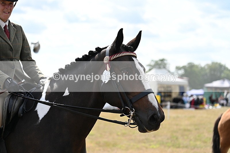 WJ7_6173 - Class 13 Ridden Veterans