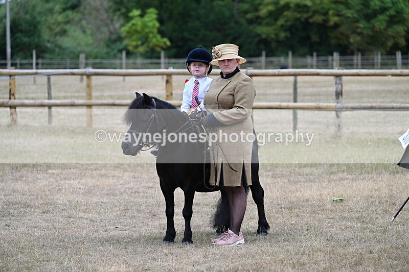 WJ7_8349 - Class 4 Prettiest Mare up to 14.2hh