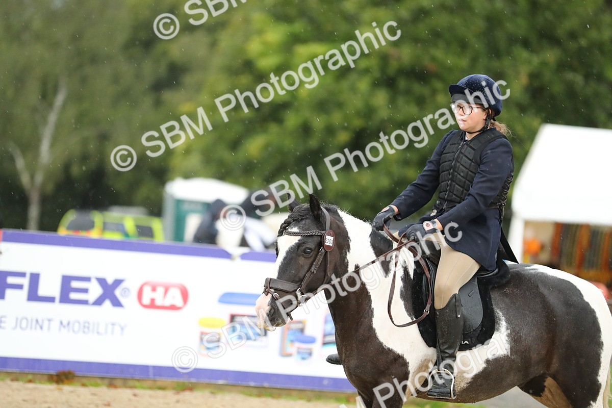 SBM_34459 - J60 Clear Round 50cm