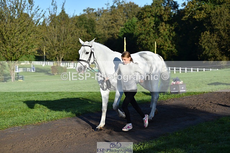 231022-092128-21727 - 653-GREYΓÇÖS.VILLAGE.MELODY-Annabel.Ridgway-TrotUp+SJ