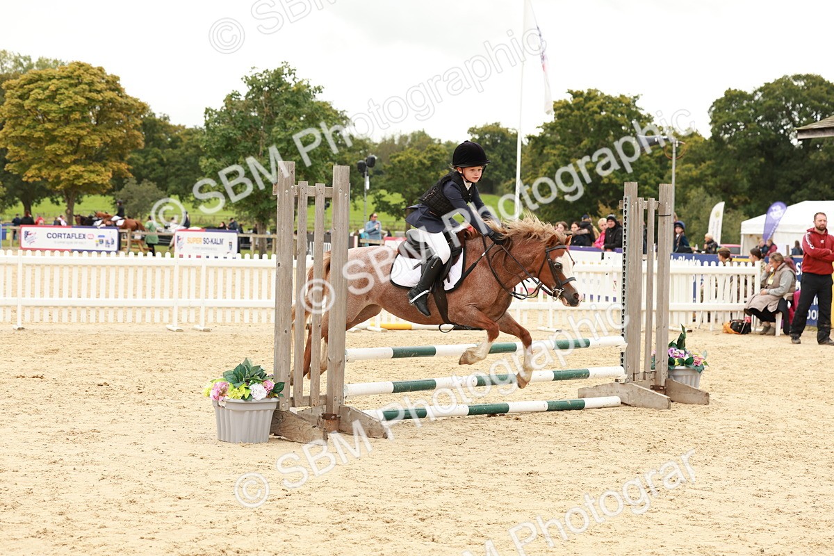 SBM_61937 - J12 - Junior Pony 55cm Championship