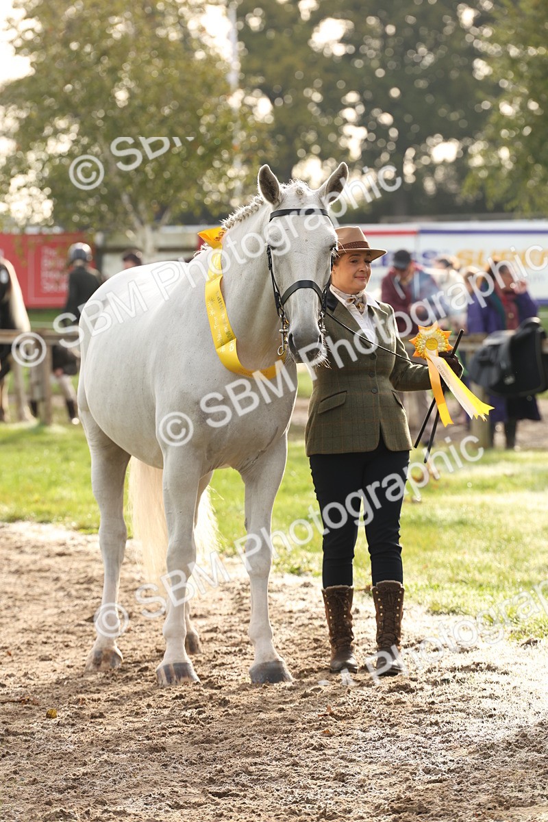 SBM_54729 - S53 - Hunter In Hand