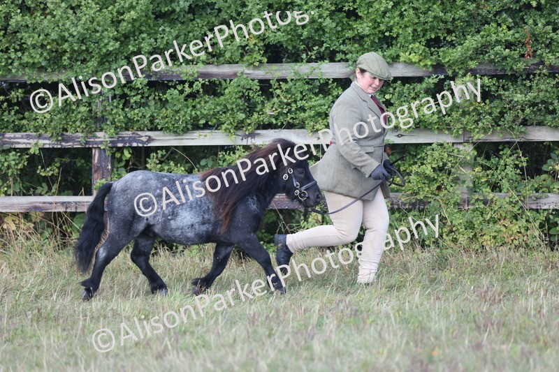 20250831-1643 - Class 22 - Mountain and Moorland Inhand