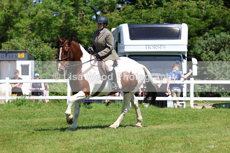 3E7A7227 - Class 30: Novice Working Hunter