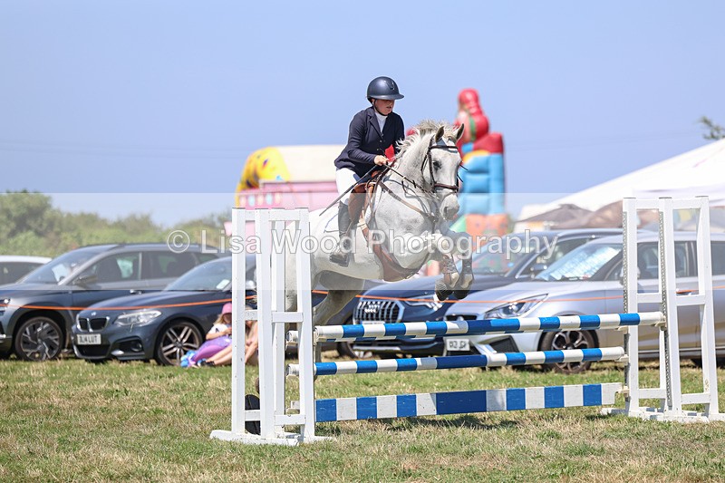3E7A4392 - Class 10: Senior British Novice/90cm open