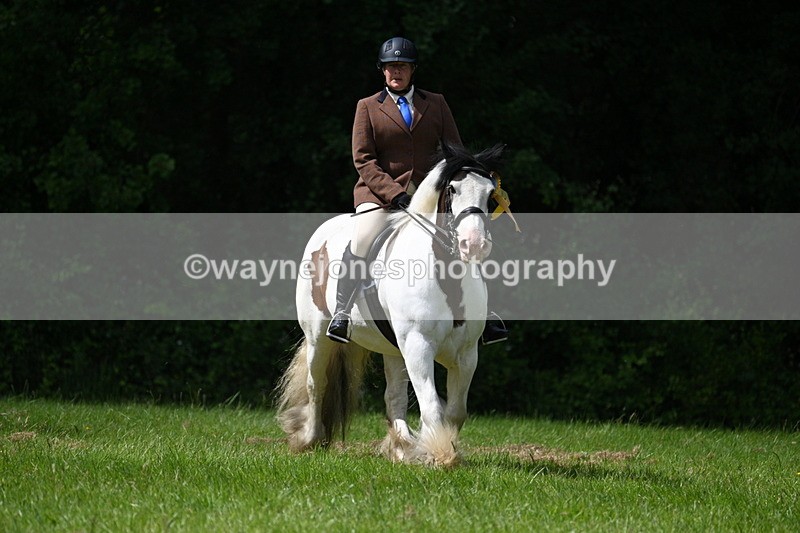 WJ7_1614 - Class 11 Condition & Turnout