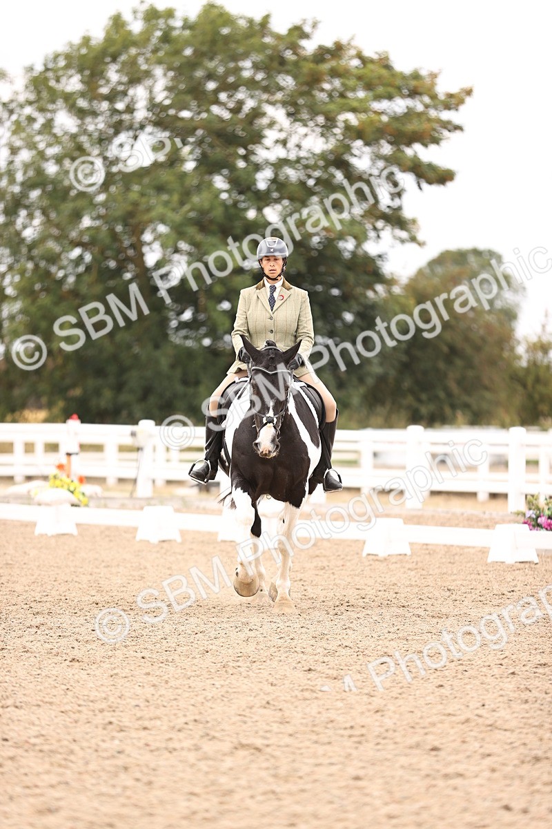 SBM_05901 - Class 37 Novice 5