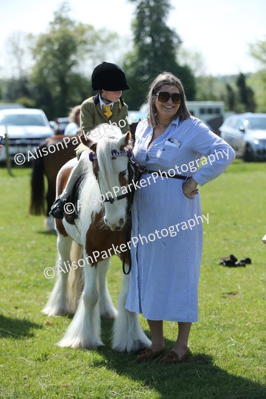 20250427-2681 - Class 6 - Pony Judge Would Most Like To Take Home