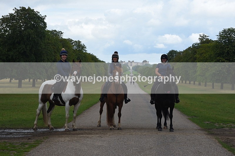 TT3_8958 - Time at Crossing 09:22 to 11:26