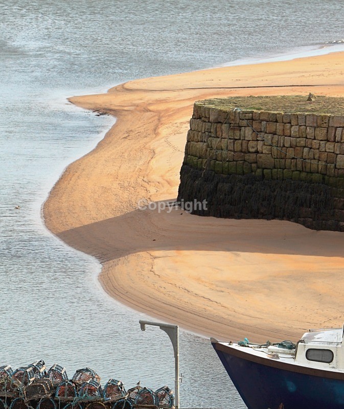 St Andrews Harbour - Landscapes