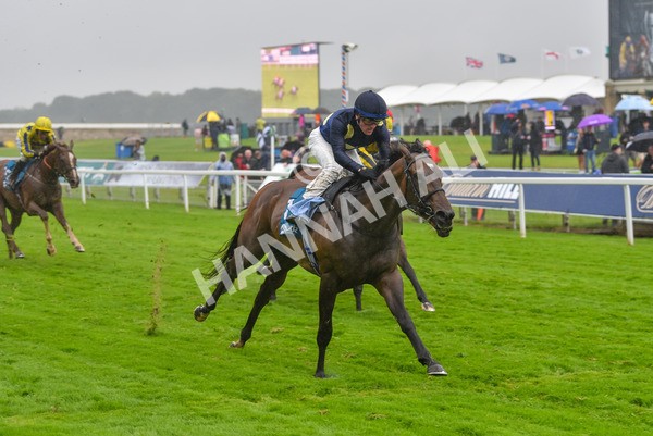 140723-Race 5-Monte Linas-8292 - Race 5 4.25pm Coopers Marquees Handicap