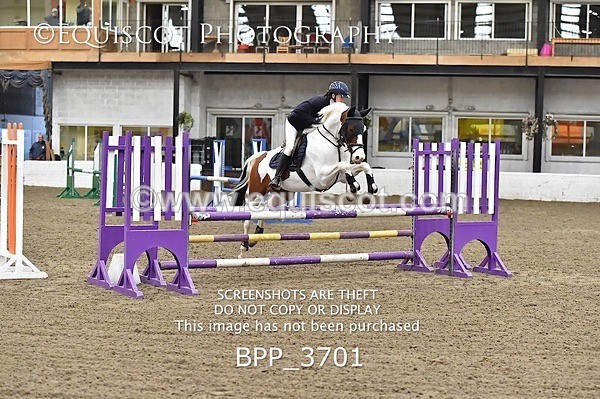 BPP_3701 - FRI CLASS 21 BR NOVICE/90CM