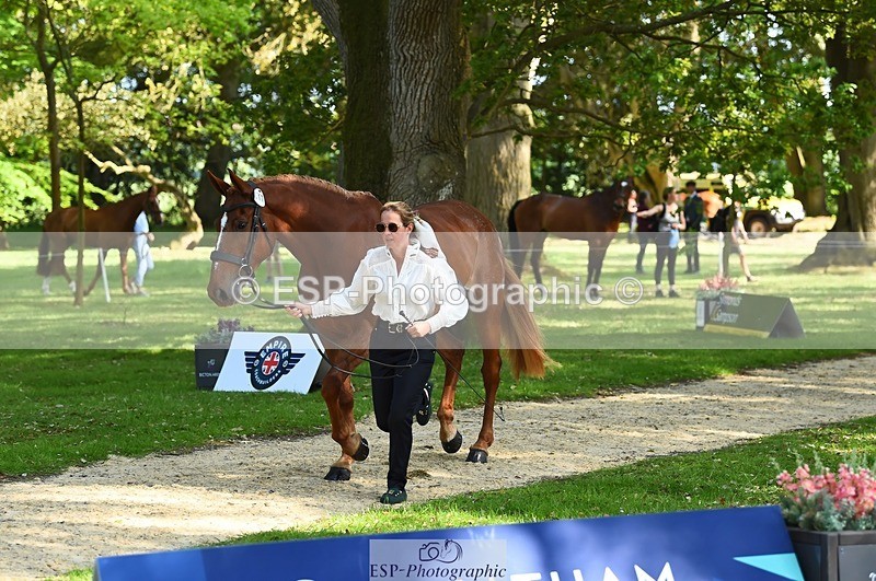 230524-164326-01049 - 112-BILLY_MAPLE-Kitty_King-WEDTrotUp+DR