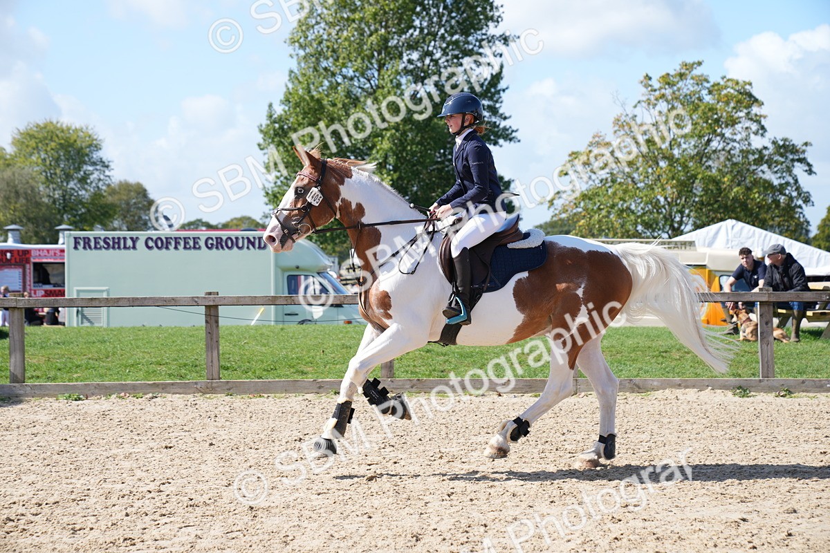 SBM_05055 - J56 - Clear Round 70cm