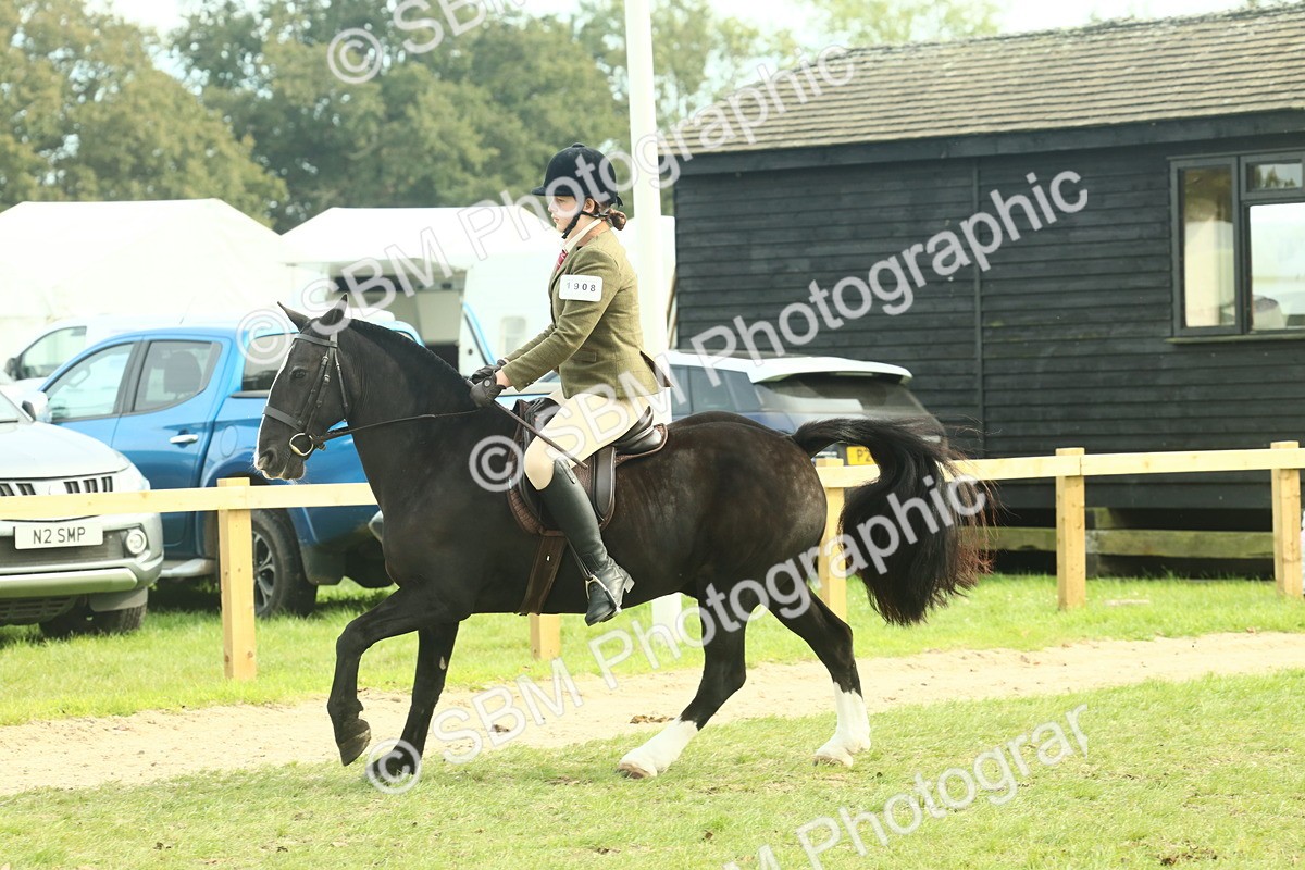 SBM_68254 - S58 - Mini Show Cob Ridden
