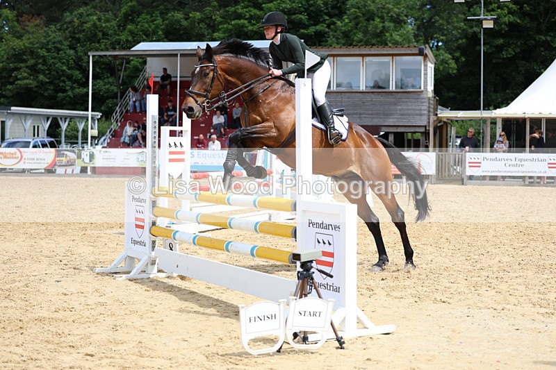 3E7A3277 - Class 4: Senior British Novice/90cm open