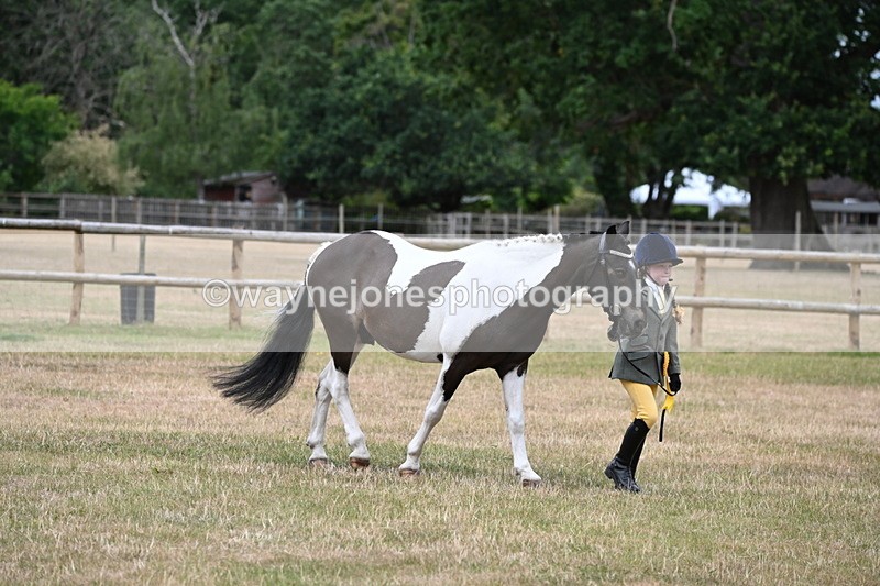 WJ6_4563 - Class 10 Coloured In-hand