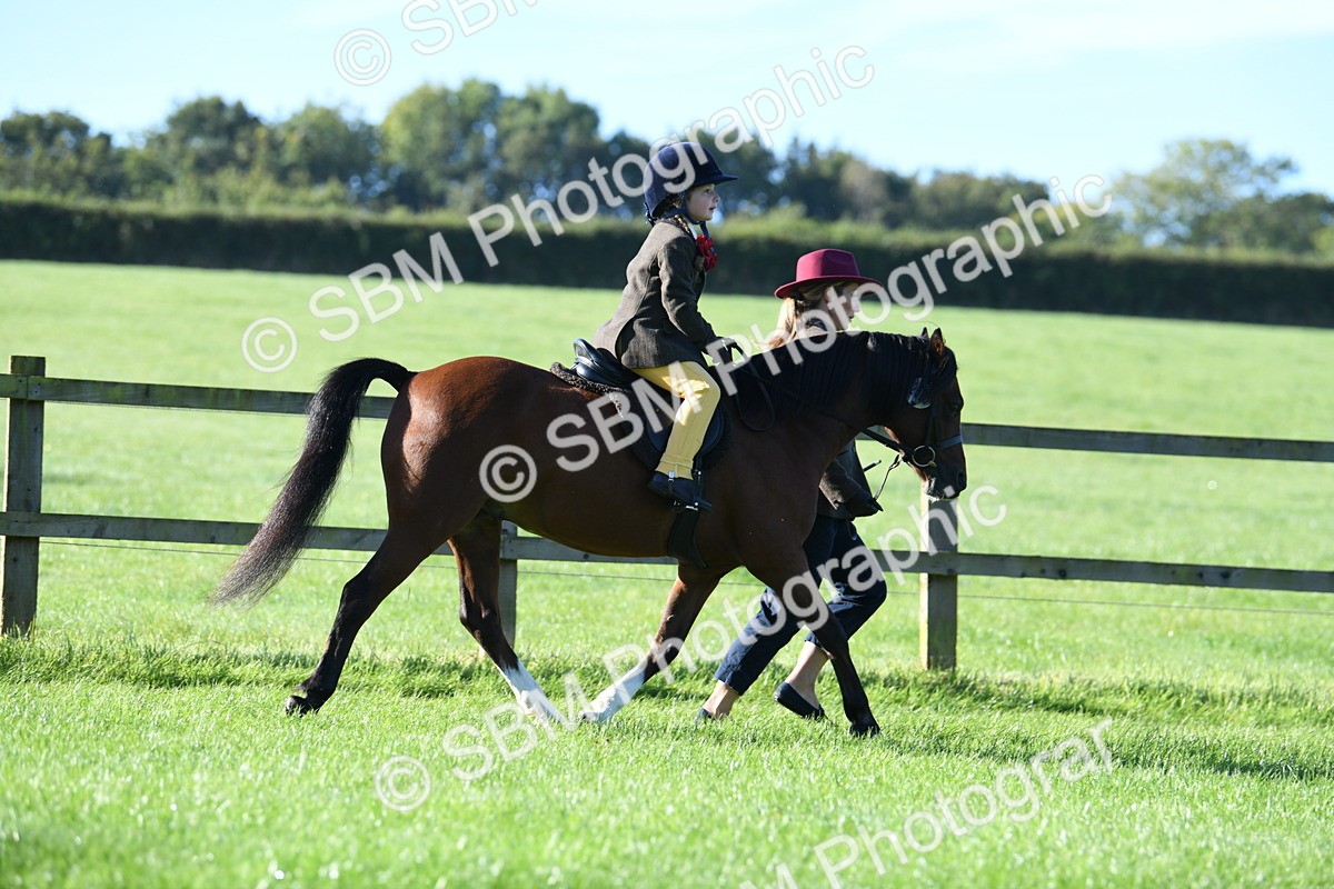SBM_35344 - S17 - Condition & Turnout - Lead Rein